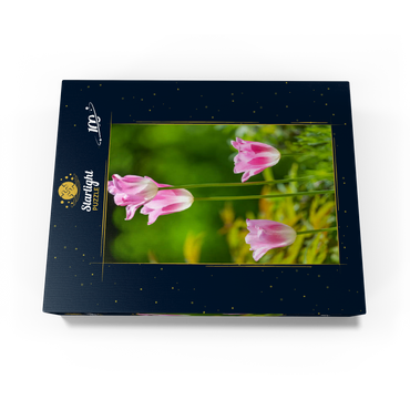 Tulips in a home garden 100 Jigsaw Puzzle box view1