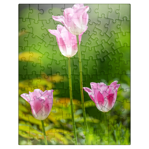 puzzleplate Tulips in a home garden 100 Jigsaw Puzzle