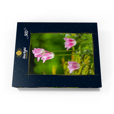 Tulips in a home garden 500 Jigsaw Puzzle box view1