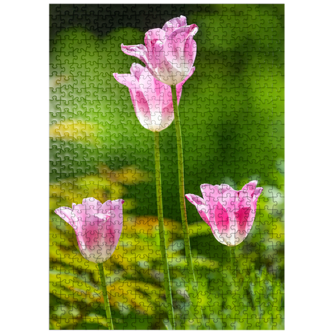 puzzleplate Tulips in a home garden 500 Jigsaw Puzzle