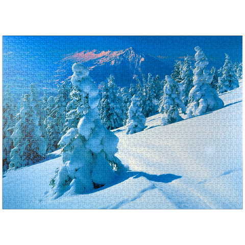 puzzleplate Snowy firs at Niederhorn (1963m) with view to Niesen (2362m) 1000 Jigsaw Puzzle