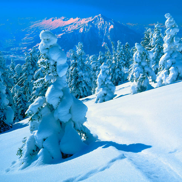 Snowy firs at Niederhorn (1963m) with view to Niesen (2362m) 100 Jigsaw Puzzle 3D Modell