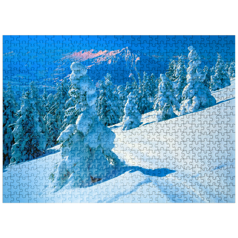 puzzleplate Snowy firs at Niederhorn (1963m) with view to Niesen (2362m) 500 Jigsaw Puzzle