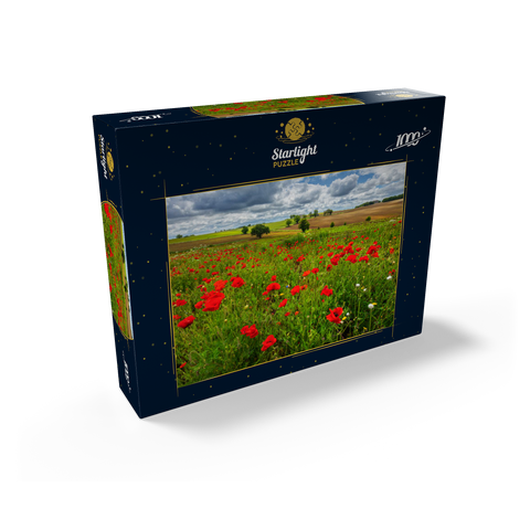 Poppy meadow near La Romieu 1000 Jigsaw Puzzle box view1