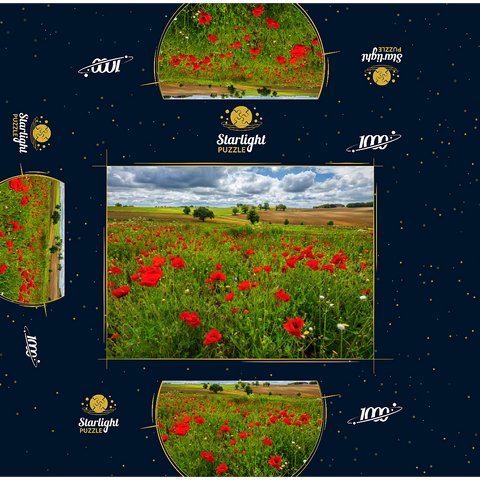 Poppy meadow near La Romieu 1000 Jigsaw Puzzle box 3D Modell