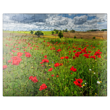puzzleplate Poppy meadow near La Romieu 100 Jigsaw Puzzle
