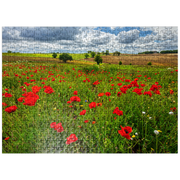 puzzleplate Poppy meadow near La Romieu 500 Jigsaw Puzzle