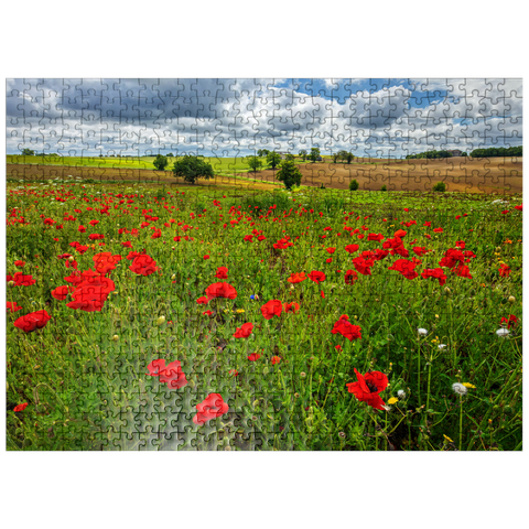 puzzleplate Poppy meadow near La Romieu 500 Jigsaw Puzzle