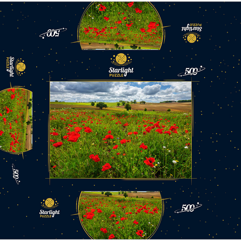 Poppy meadow near La Romieu 500 Jigsaw Puzzle box 3D Modell