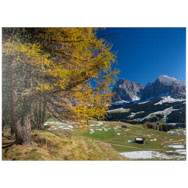 puzzleplate Autumn on the Alpe di Siusi (1700 - 2300m) against Sassolungo Group (3181m), Trentino-South Tyrol 1000 Jigsaw Puzzle