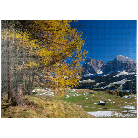puzzleplate Autumn on the Alpe di Siusi (1700 - 2300m) against Sassolungo Group (3181m), Trentino-South Tyrol 1000 Jigsaw Puzzle