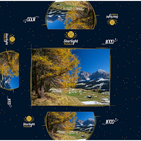 Autumn on the Alpe di Siusi (1700 - 2300m) against Sassolungo Group (3181m), Trentino-South Tyrol 1000 Jigsaw Puzzle box 3D Modell