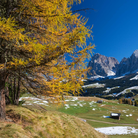 Autumn on the Alpe di Siusi (1700 - 2300m) against Sassolungo Group (3181m), Trentino-South Tyrol 100 Jigsaw Puzzle 3D Modell