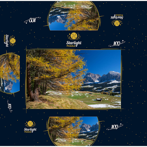 Autumn on the Alpe di Siusi (1700 - 2300m) against Sassolungo Group (3181m), Trentino-South Tyrol 100 Jigsaw Puzzle box 3D Modell