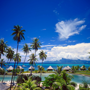 Beachcomber Hotel on Tahiti Island, French Polynesia, South Seas 1000 Jigsaw Puzzle 3D Modell