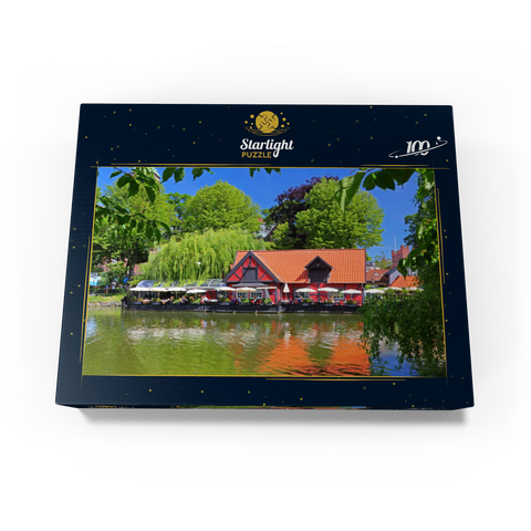 Small pond with restaurant Faergekroen in amusement park Tivoli 100 Jigsaw Puzzle box view1