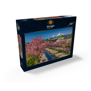 Blossoming cherry trees, cherry blossom in Berchtesgaden spa garden with Watzmann mountain 100 Jigsaw Puzzle box view1