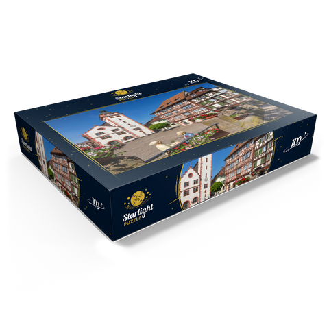 City Hall and Palm's House on the Market Square 100 Jigsaw Puzzle box view1