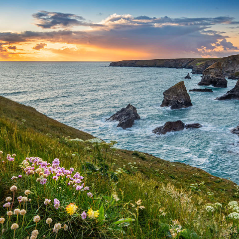 Coast at Bedruthan Steps north of Newquay, North Coast, Cornwall 100 Jigsaw Puzzle 3D Modell