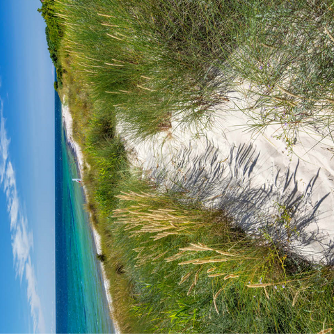 Beach with sand dunes of Vester Sømarken near Aakirkeby 100 Jigsaw Puzzle 3D Modell