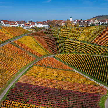 Vineyards near Rotenberg in the district of Untertürkheim 1000 Jigsaw Puzzle 3D Modell