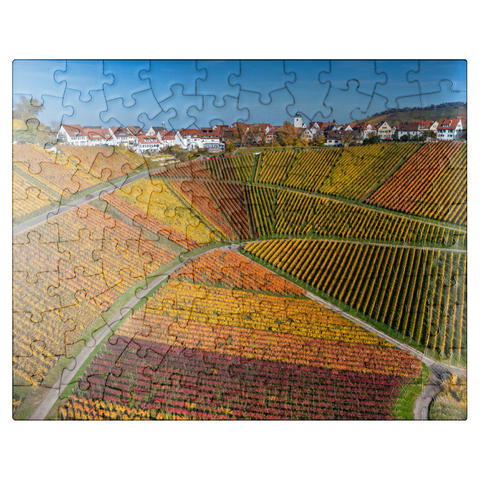 puzzleplate Vineyards near Rotenberg in the district of Untertürkheim 100 Jigsaw Puzzle
