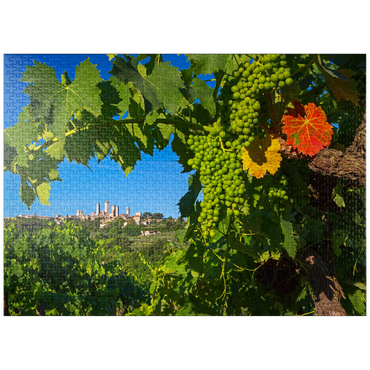 puzzleplate Vineyard with the family towers of San Gimignano, province of Siena, Tuscany, Italy 1000 Jigsaw Puzzle