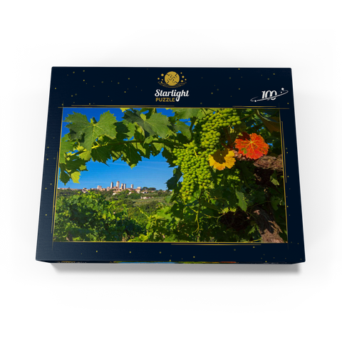 Vineyard with the family towers of San Gimignano, province of Siena, Tuscany, Italy 100 Jigsaw Puzzle box view1