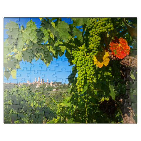 puzzleplate Vineyard with the family towers of San Gimignano, province of Siena, Tuscany, Italy 100 Jigsaw Puzzle