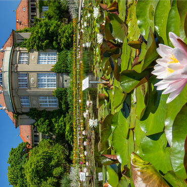 Water lily pond in the ornamental courtyard in the botanical garden 1000 Jigsaw Puzzle 3D Modell