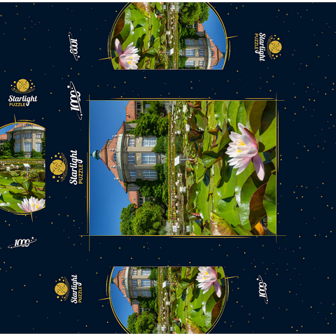 Water lily pond in the ornamental courtyard in the botanical garden 1000 Jigsaw Puzzle box 3D Modell