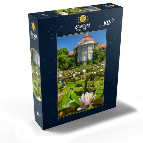 Water lily pond in the ornamental courtyard in the botanical garden 100 Jigsaw Puzzle box view1