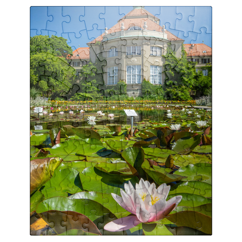 puzzleplate Water lily pond in the ornamental courtyard in the botanical garden 100 Jigsaw Puzzle