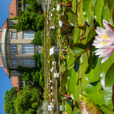 Water lily pond in the ornamental courtyard in the botanical garden 500 Jigsaw Puzzle 3D Modell