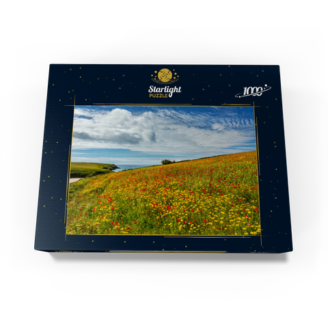 Wildflower meadow near West Pentire, North Coast, Cornwall 1000 Jigsaw Puzzle box view1