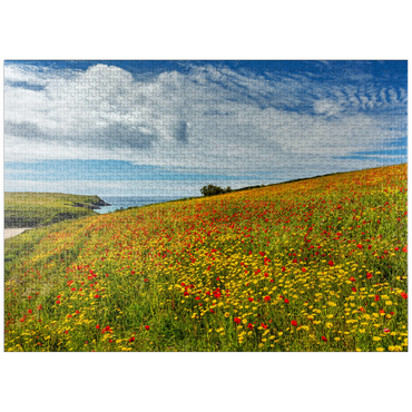 puzzleplate Wildflower meadow near West Pentire, North Coast, Cornwall 1000 Jigsaw Puzzle