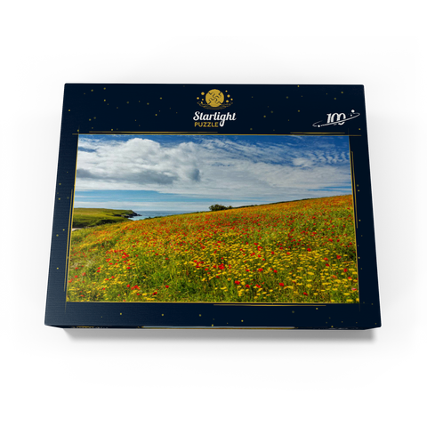 Wildflower meadow near West Pentire, North Coast, Cornwall 100 Jigsaw Puzzle box view1