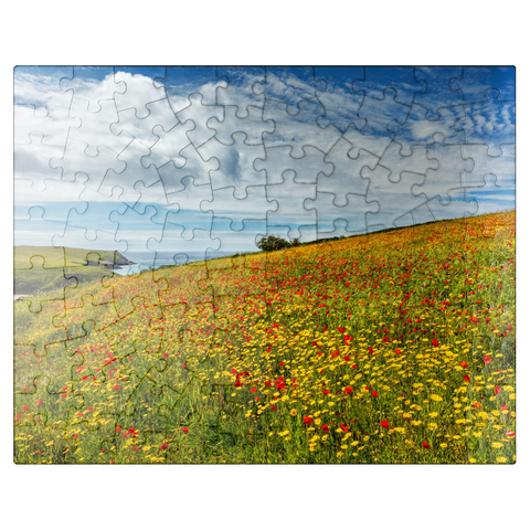 puzzleplate Wildflower meadow near West Pentire, North Coast, Cornwall 100 Jigsaw Puzzle