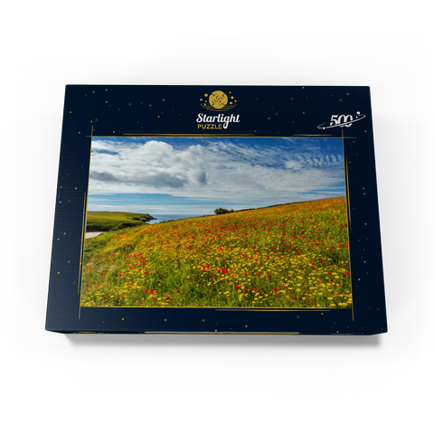 Wildflower meadow near West Pentire, North Coast, Cornwall 500 Jigsaw Puzzle box view1