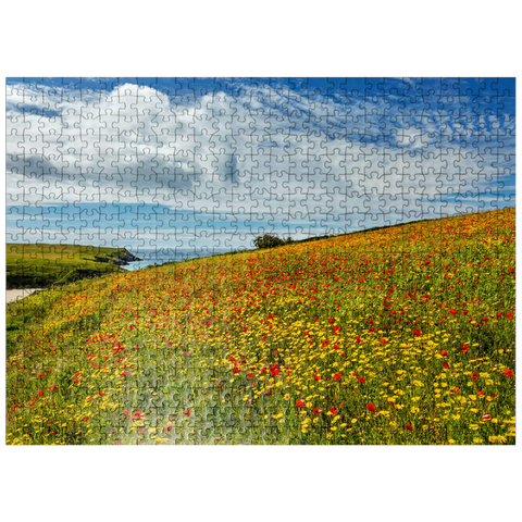 puzzleplate Wildflower meadow near West Pentire, North Coast, Cornwall 500 Jigsaw Puzzle