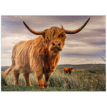 puzzleplate Strict pair of Highland cows caught on the north coast of Scotland 1000 Jigsaw Puzzle