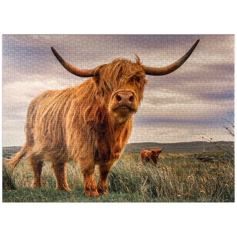 puzzleplate Strict pair of Highland cows caught on the north coast of Scotland 1000 Jigsaw Puzzle