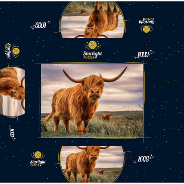 Strict pair of Highland cows caught on the north coast of Scotland 1000 Jigsaw Puzzle box 3D Modell