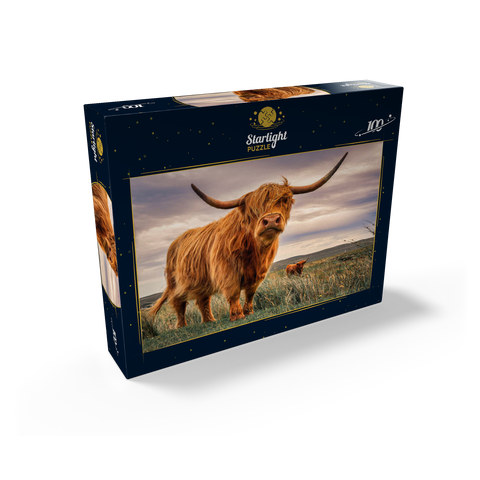 Strict pair of Highland cows caught on the north coast of Scotland 100 Jigsaw Puzzle box view1