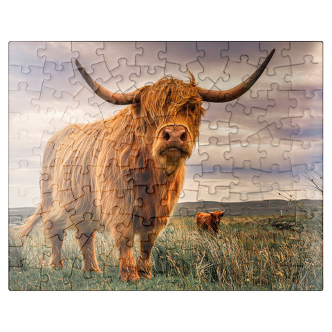 puzzleplate Strict pair of Highland cows caught on the north coast of Scotland 100 Jigsaw Puzzle