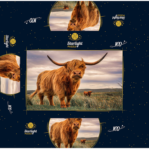 Strict pair of Highland cows caught on the north coast of Scotland 100 Jigsaw Puzzle box 3D Modell