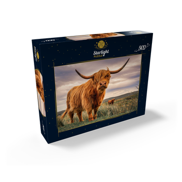 Strict pair of Highland cows caught on the north coast of Scotland 500 Jigsaw Puzzle box view1