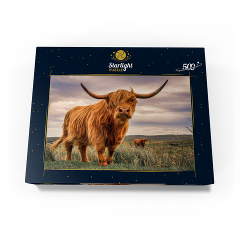 Strict pair of Highland cows caught on the north coast of Scotland 500 Jigsaw Puzzle box view1