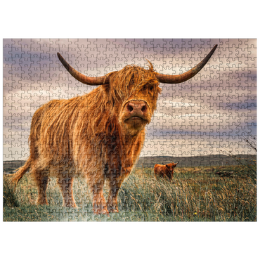 puzzleplate Strict pair of Highland cows caught on the north coast of Scotland 500 Jigsaw Puzzle
