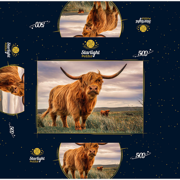 Strict pair of Highland cows caught on the north coast of Scotland 500 Jigsaw Puzzle box 3D Modell